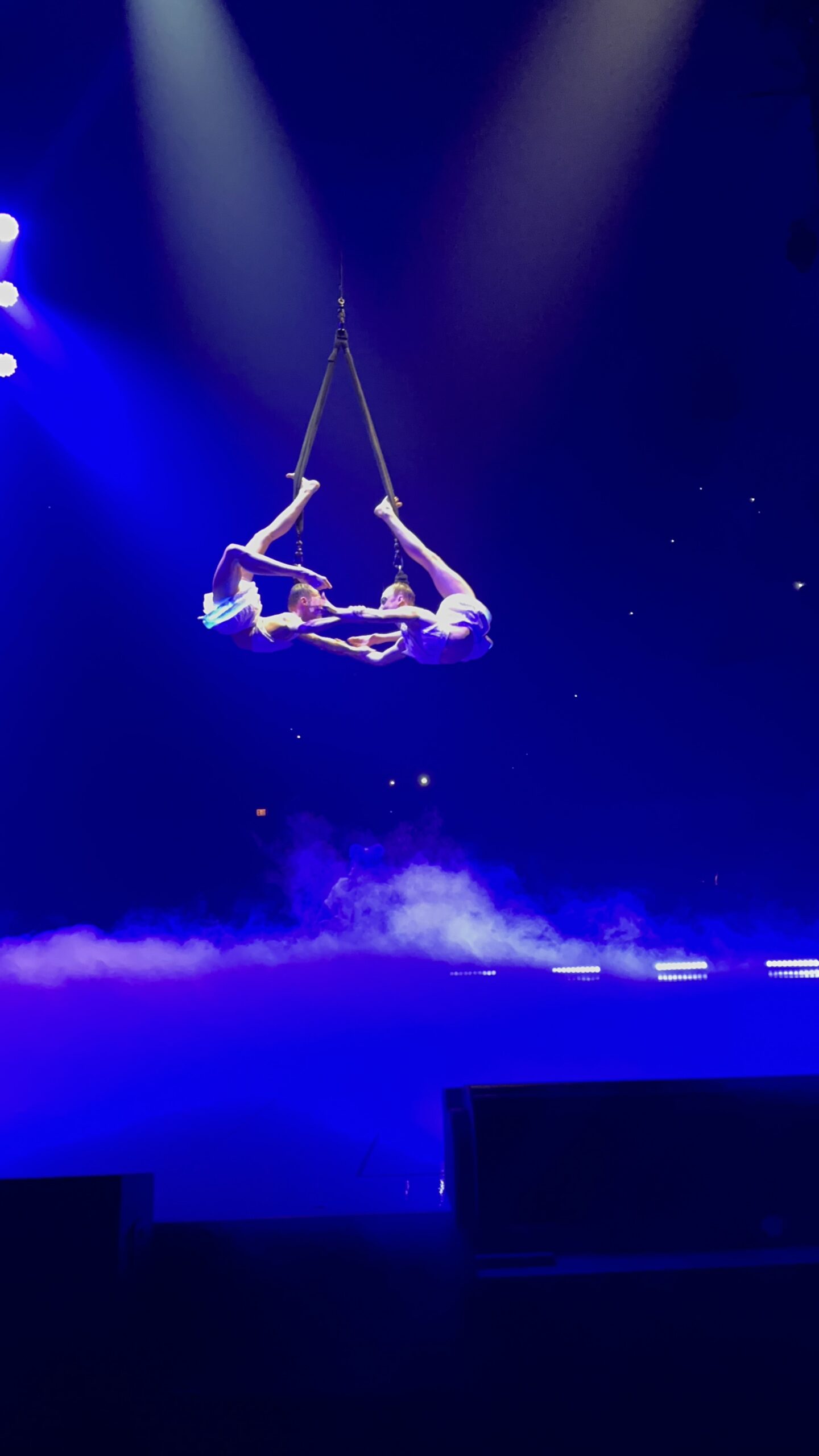 Duo Hair Hanging scaled