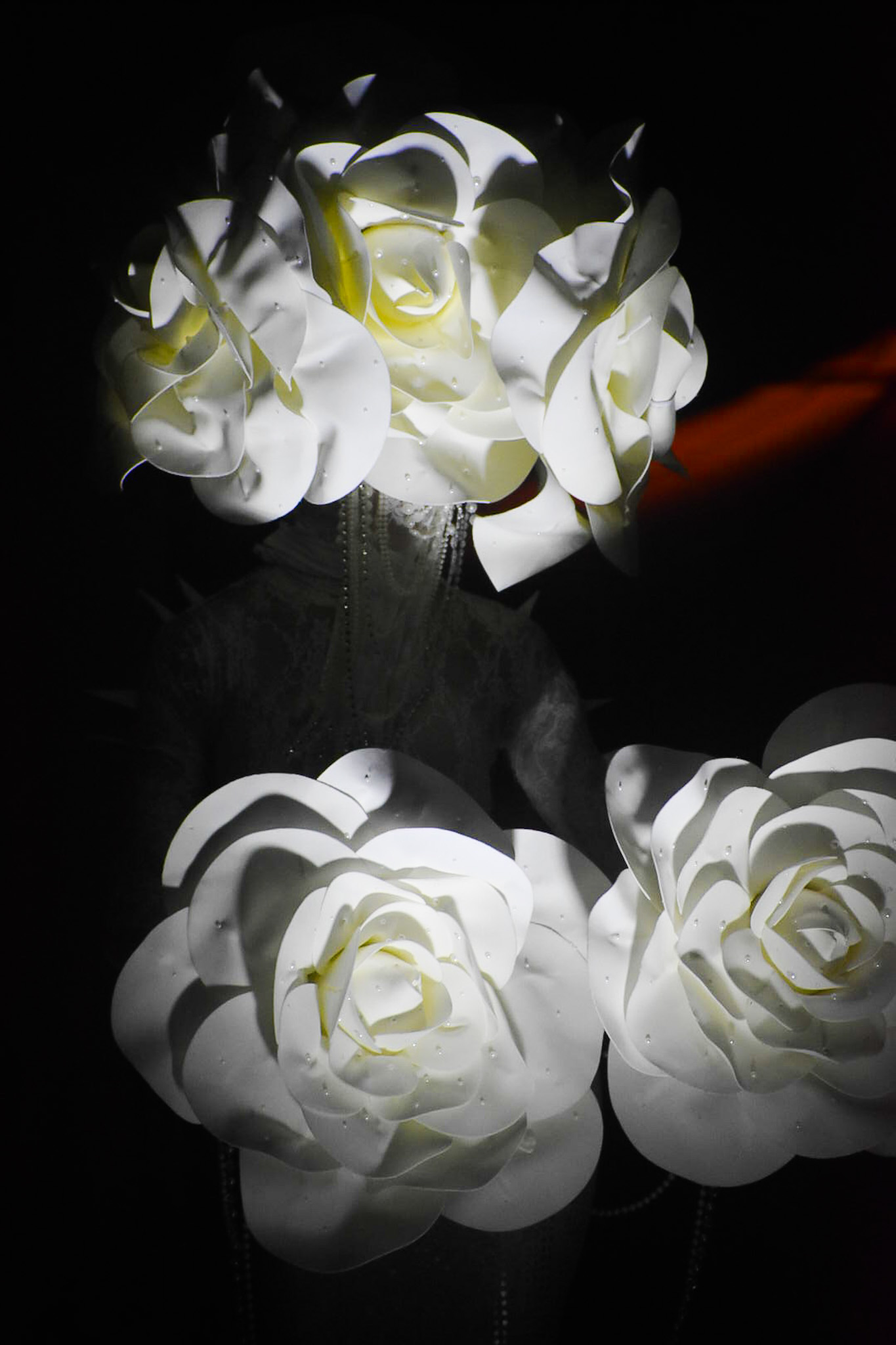 an abstract rose